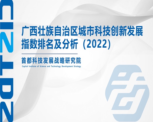 大美女操B视频在线观看【成果发布】广西壮族自治区城市科技创新发展指数排名及分析（2022）